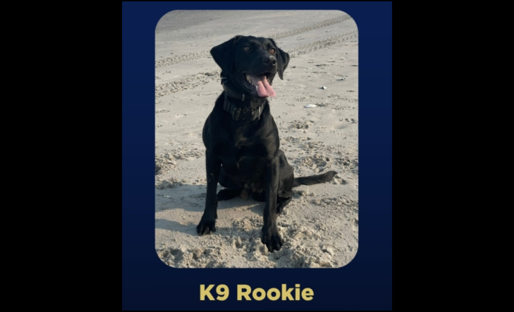 Camden man is arrested after a K-9 dog finds a phone allegedly used to solicit nude images from 7-year-old girl