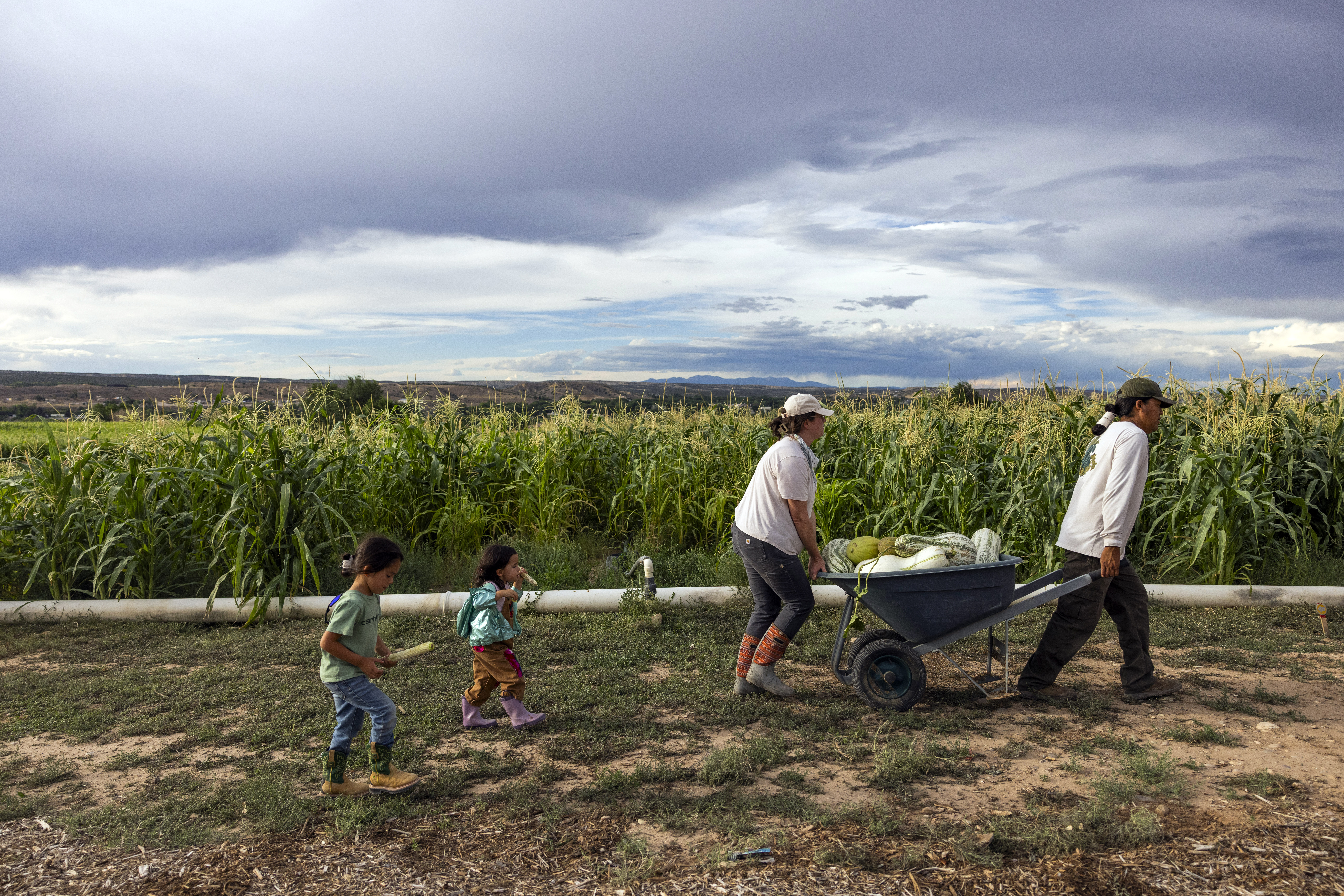 Farmers struggle to get basic services from depleted Agriculture Department