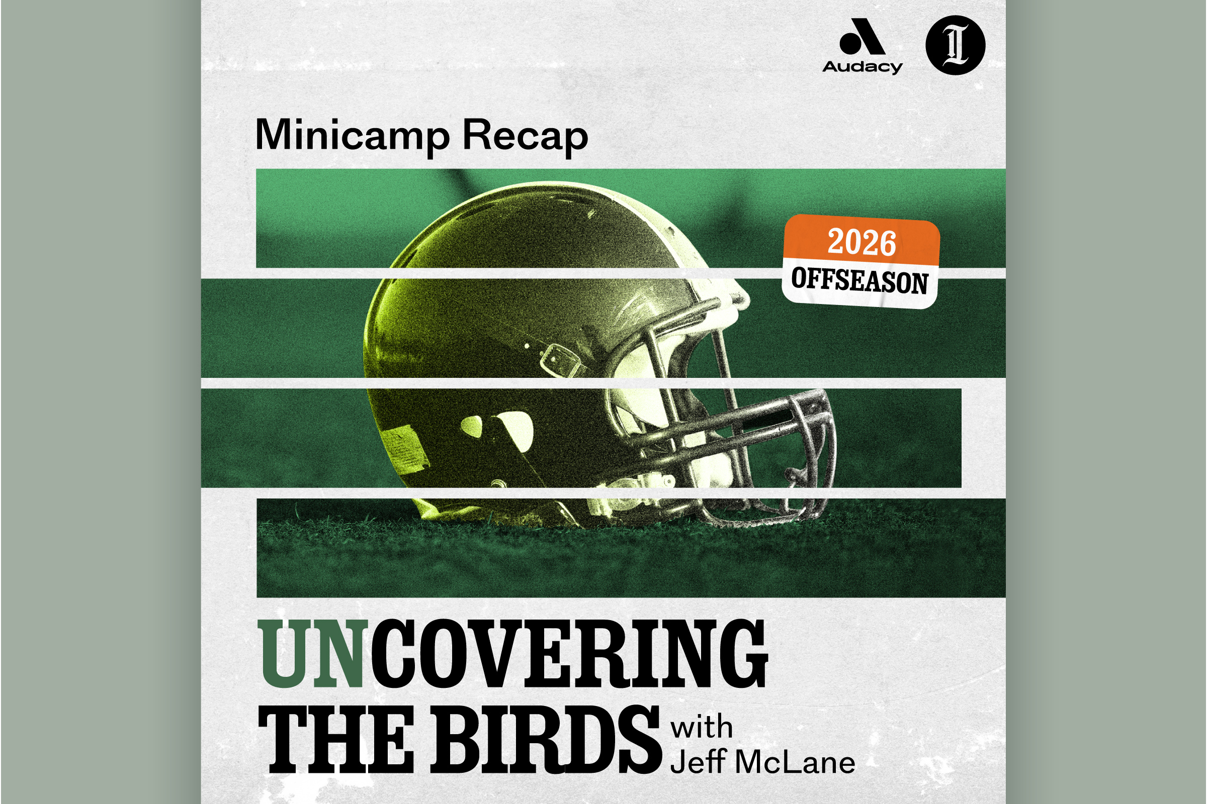 unCovering the Birds: Minicamp Recap