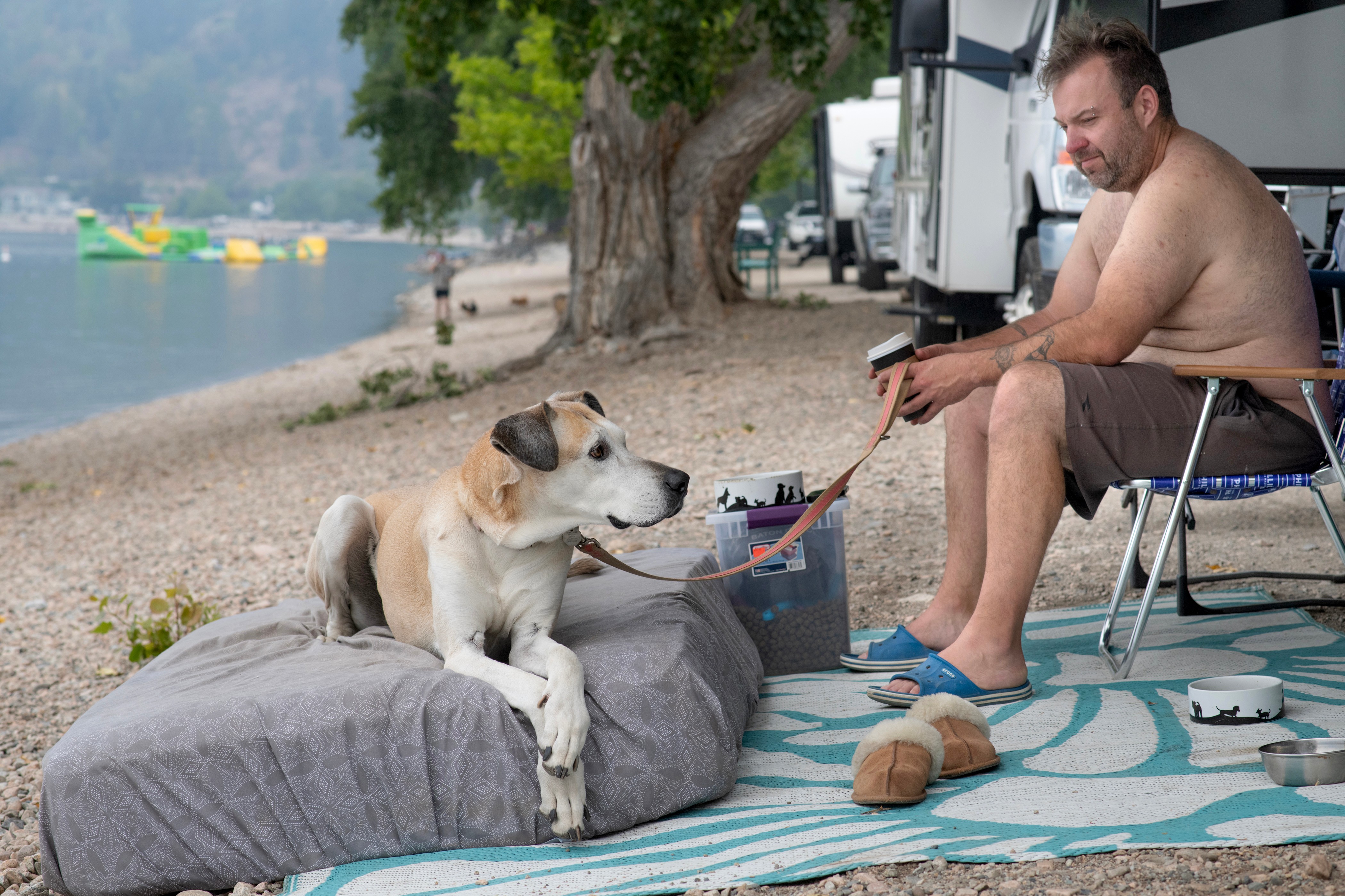 Dogs can tell when you’re happy, sad, or frustrated, study shows