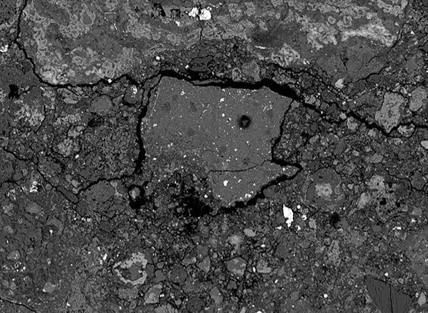 A meteorite that crashed into a New Jersey home contained ‘alien world chemistry,’ a new study says