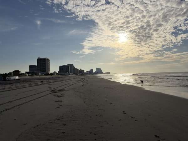 🥑 $18 avocado toast, $16 omelets, $13 hot dogs | Down the Shore
