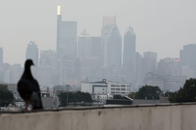 Smoky skies may be gone for now. But ‘climate grief’ may linger.