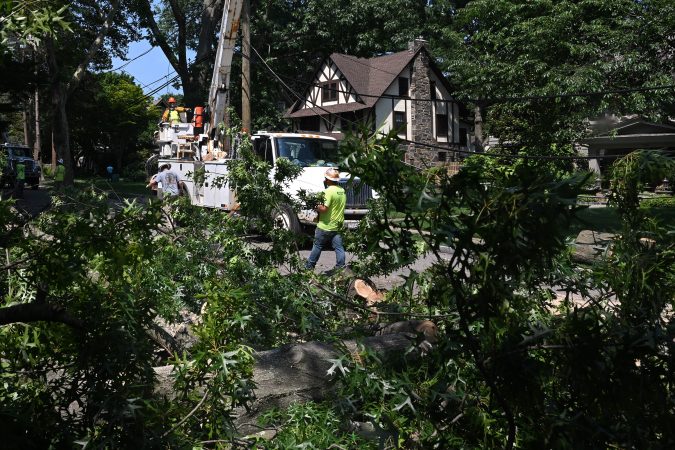 Microburst storms caused unprecedented tree damage in some Philly-area neighborhoods