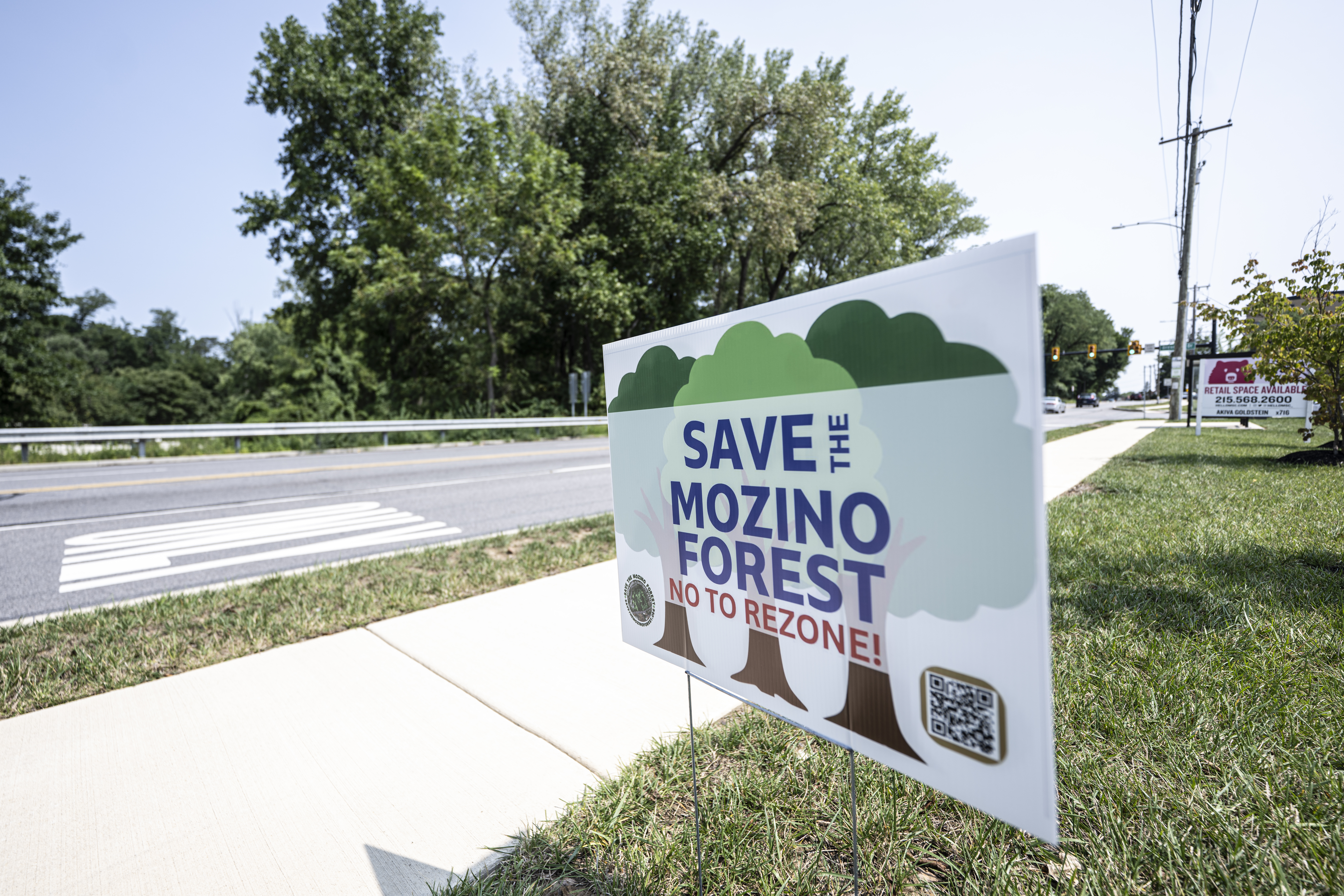 A 15-acre site in Upper Darby could become a public forest — if organizers can raise $8 million to buy it