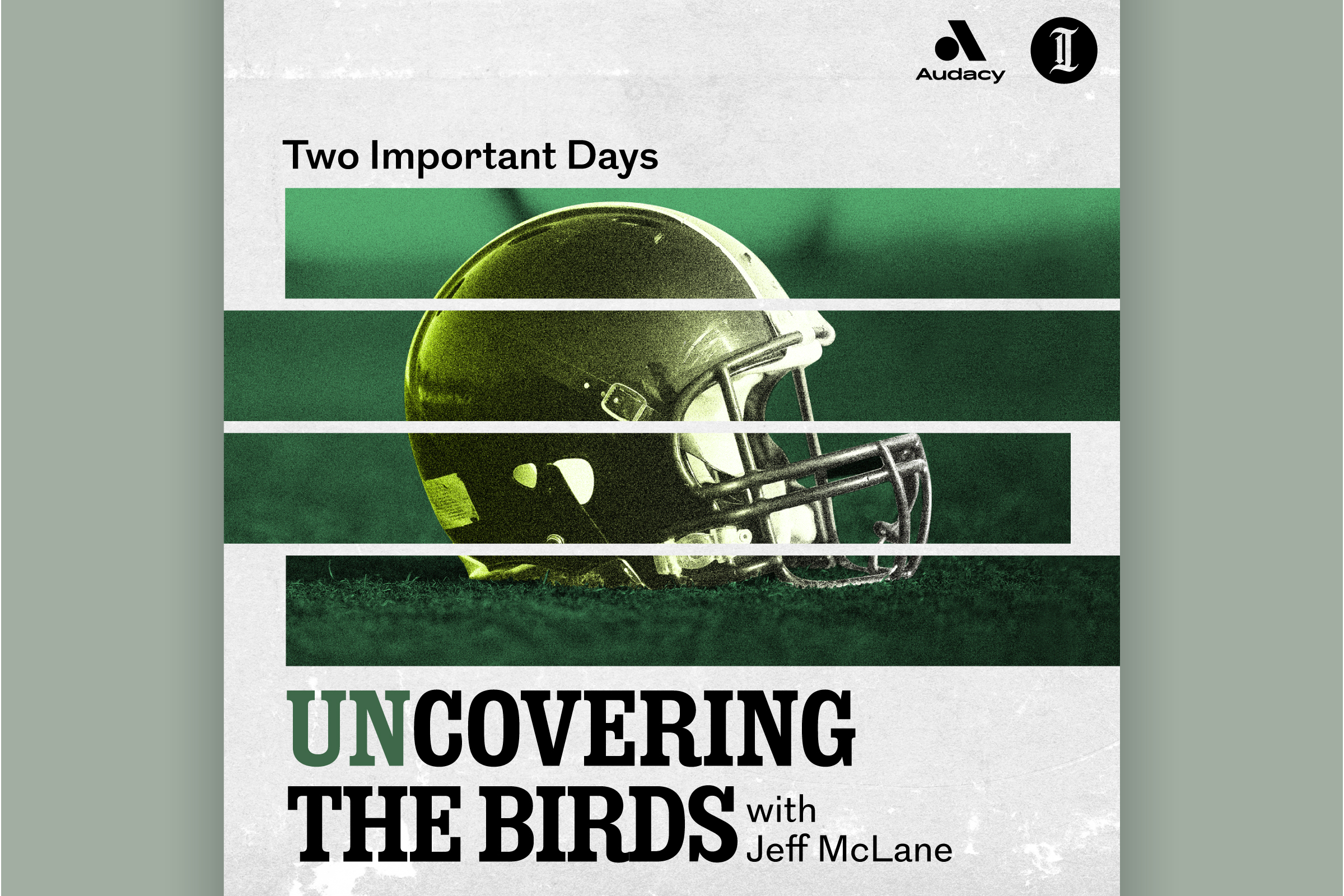 unCovering the Birds: Two Important Days