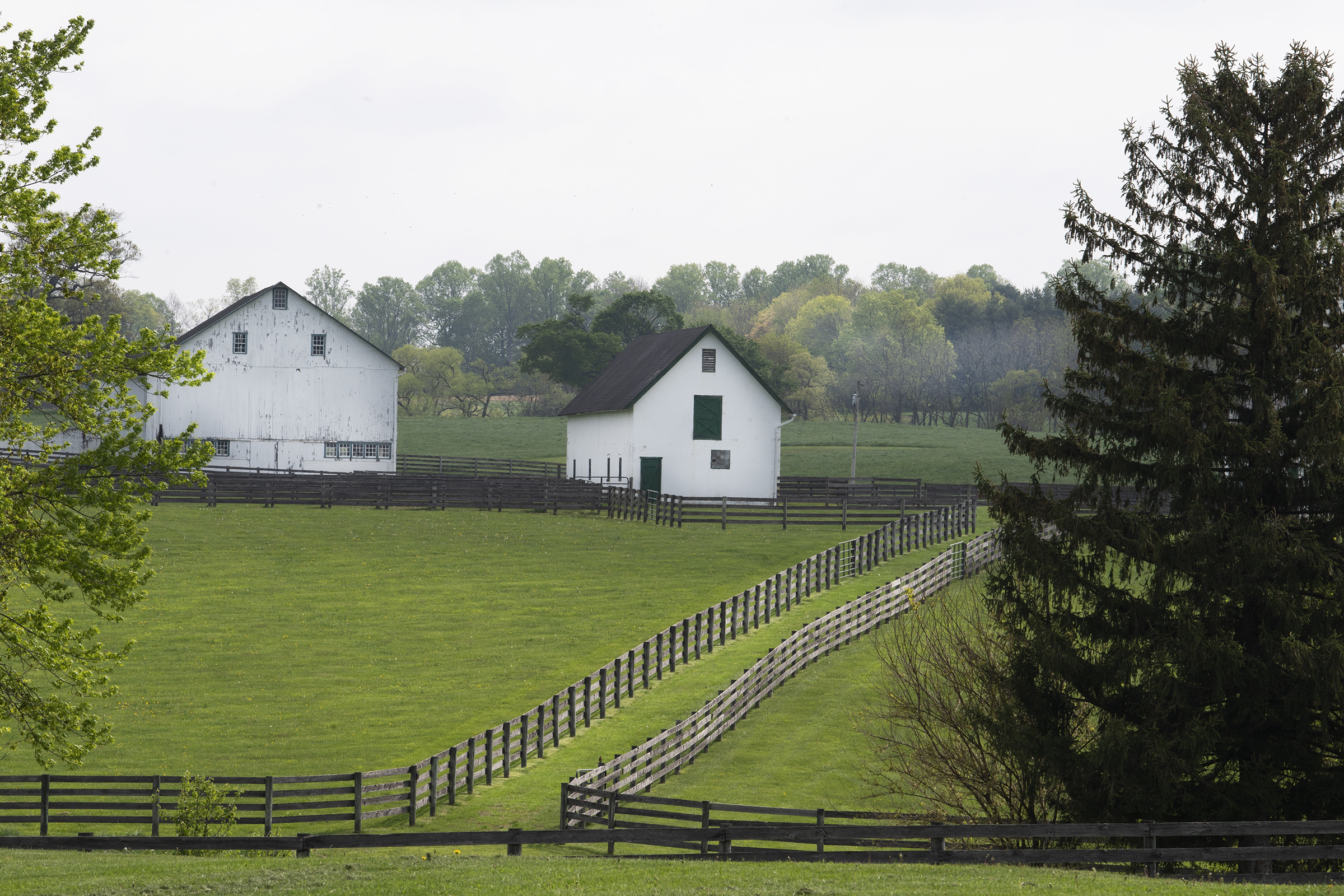 Fired historical commission strikes out on its own | Inquirer Chester County