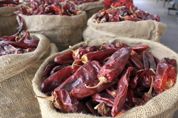 Eating this food regularly could lead to greater longevity| Expert Opinion