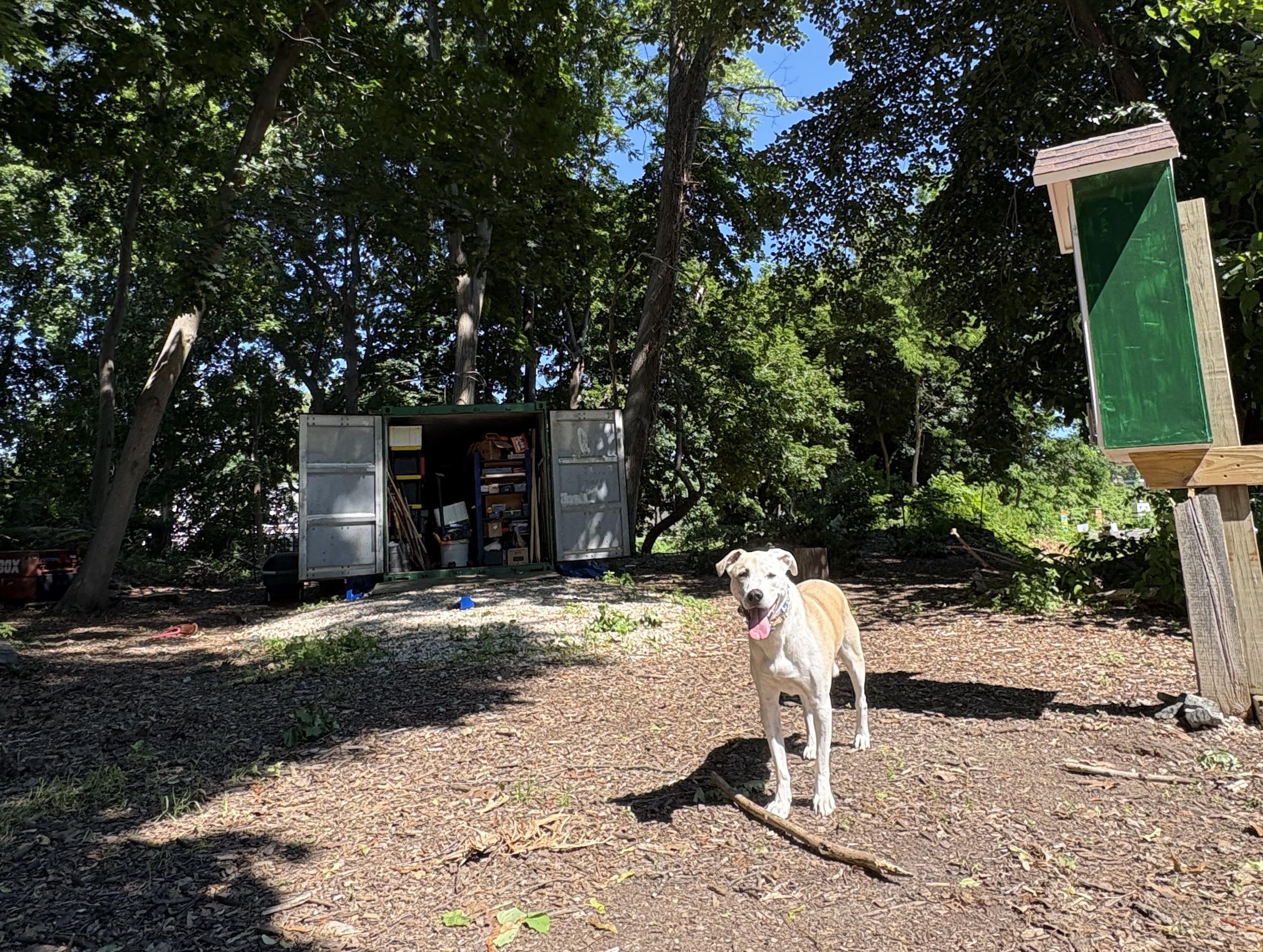 Northwest Tool Library in Mount Airy aims to make home maintenance more accessible