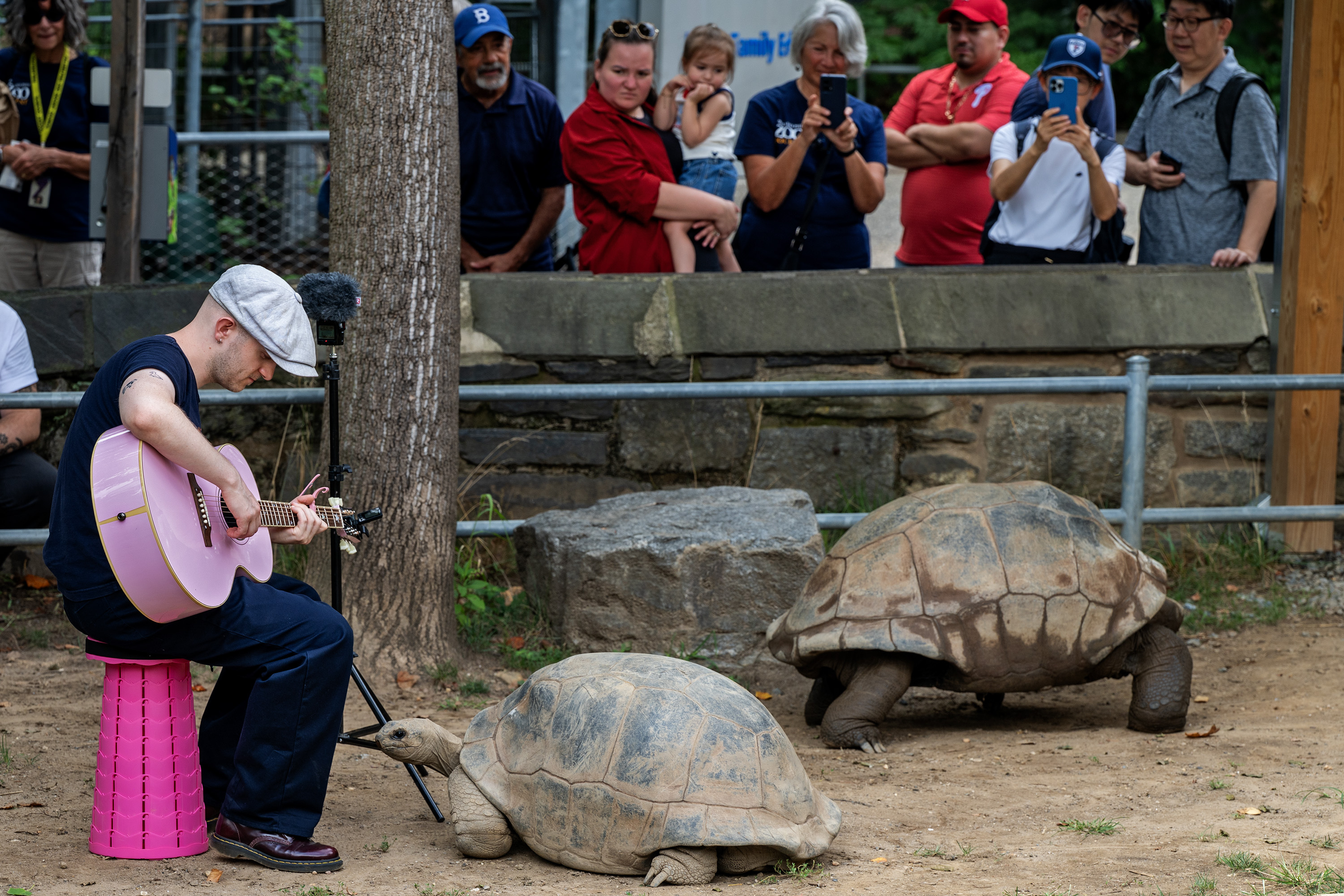 Viral French musician Plumes serenades animals at the Philly Zoo