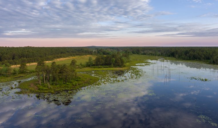 Burlington County’s Pinelands will be the focus of a new climate change study