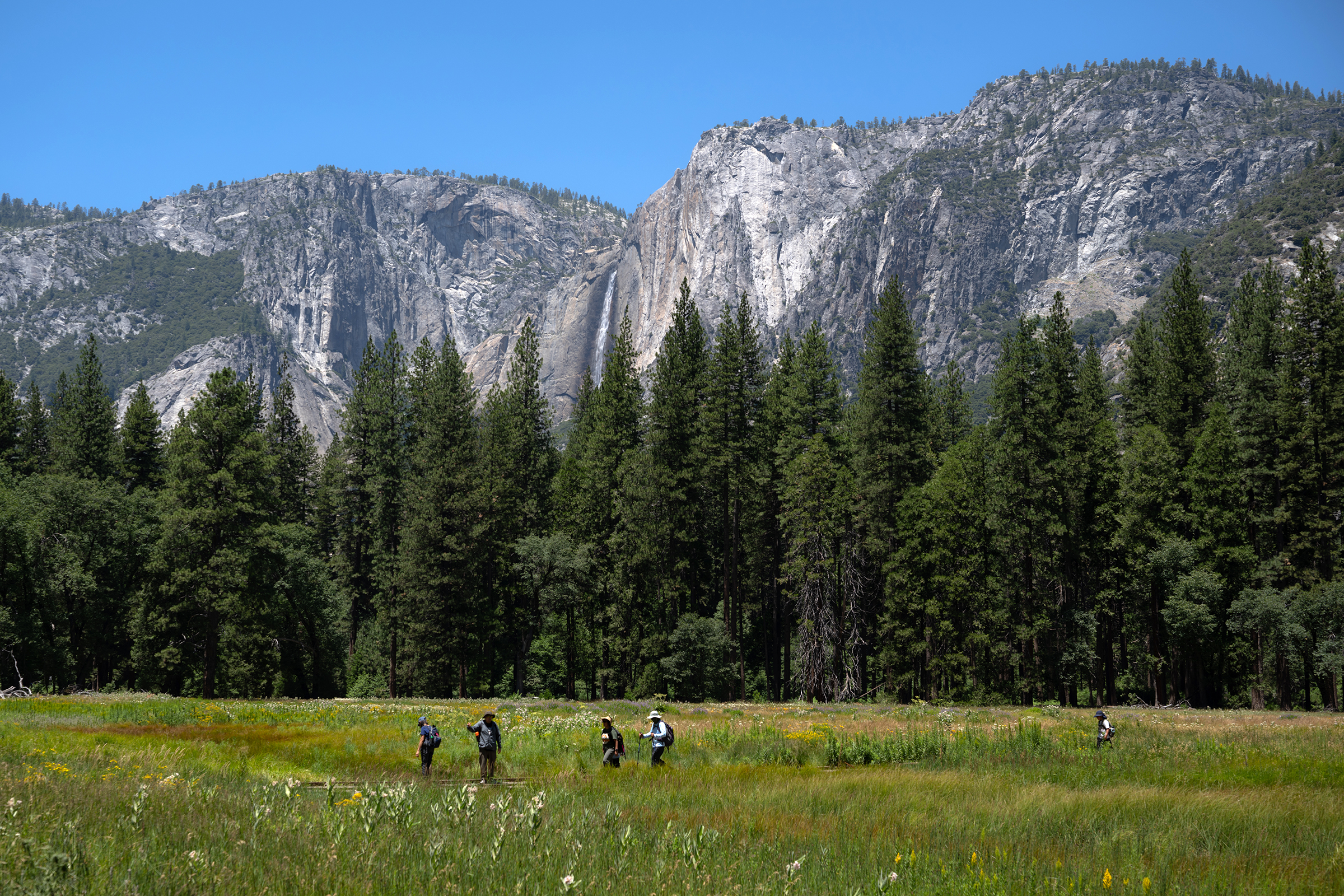 Trump administration looks to give a swath of Yosemite park to developer