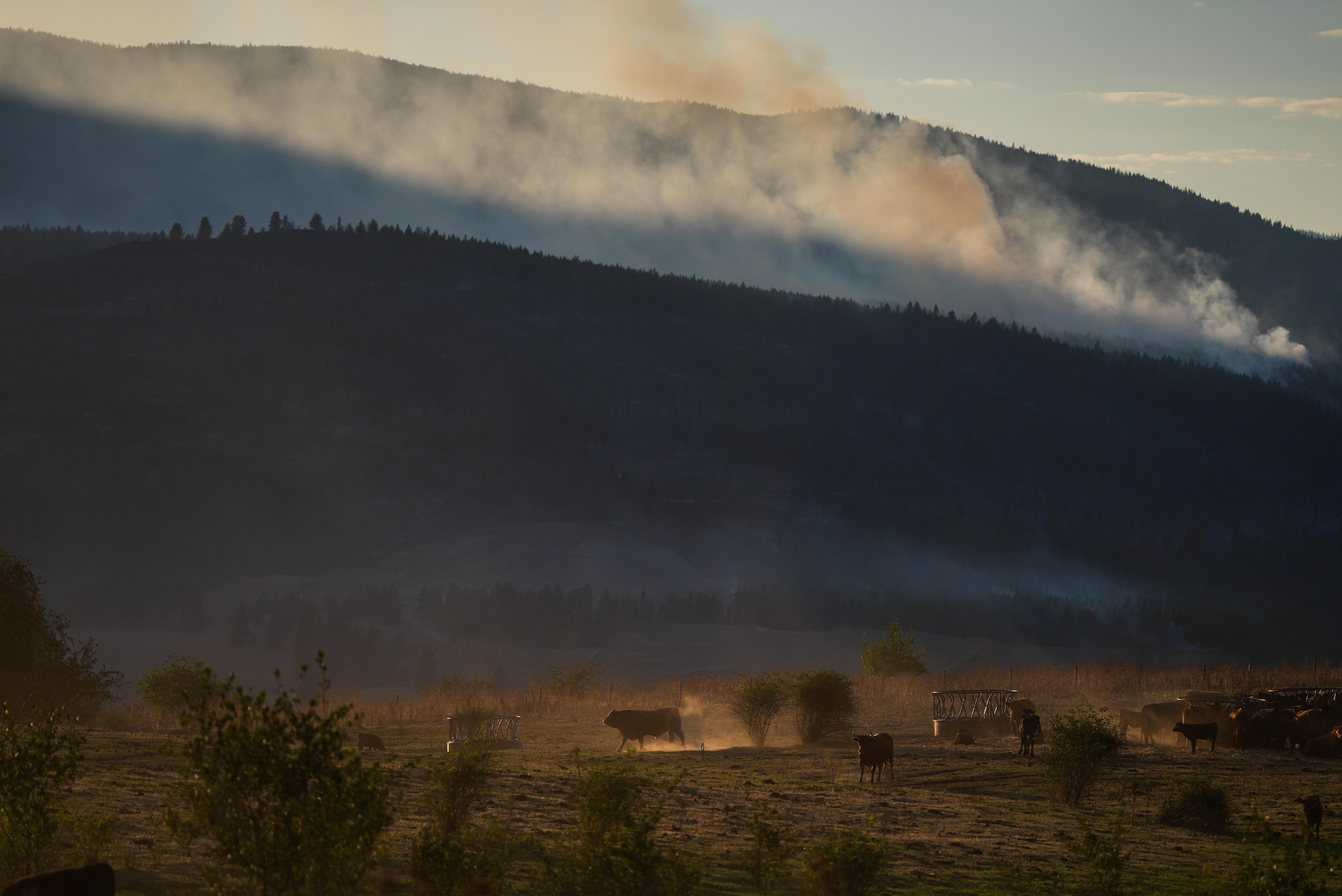 Trump wants tariffs over Canada’s wildfire smoke. That’s not how neighbors treat a climate crisis.