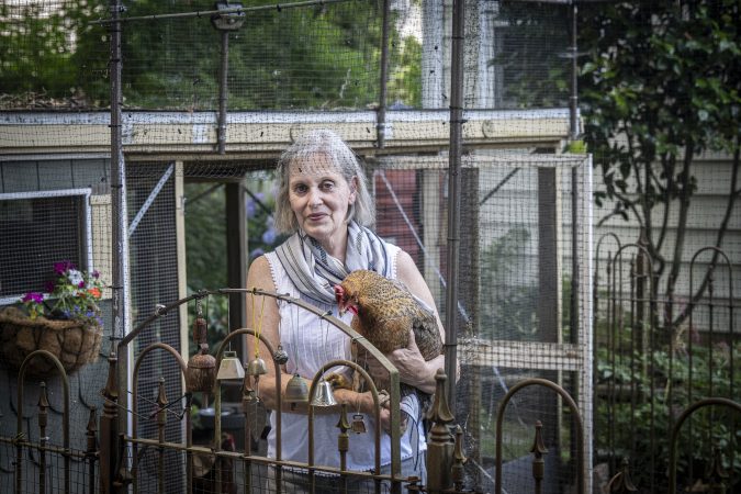 Collingswood residents have spent years fighting for backyard chickens. This time, they think they might win.