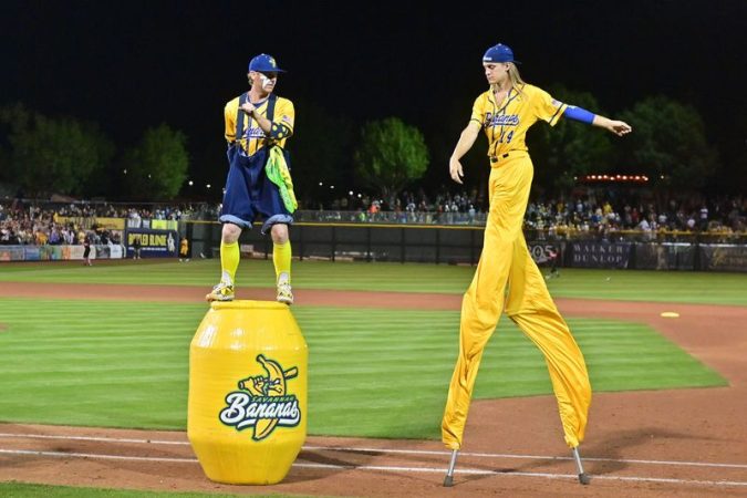 The Savannah Bananas are building on one of baseball’s oldest traditions, barnstorming