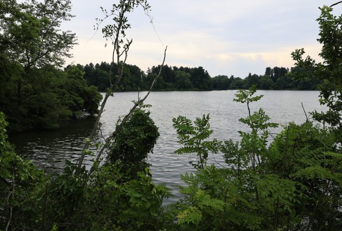 A Chester County lake is planned for draining as a dam is decommissioned. Residents are worried about what it’ll become.