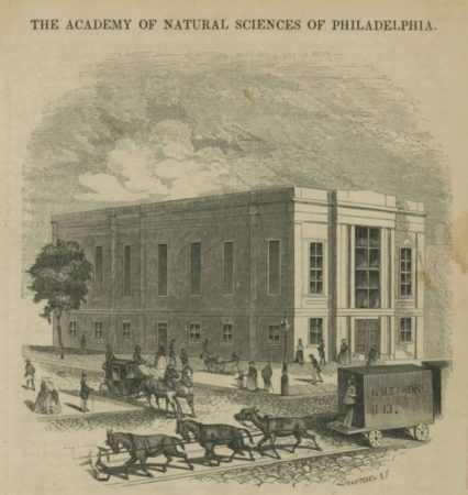 The first complete dinosaur skeleton on view to the public made its debut at Philly’s Academy of Natural Sciences