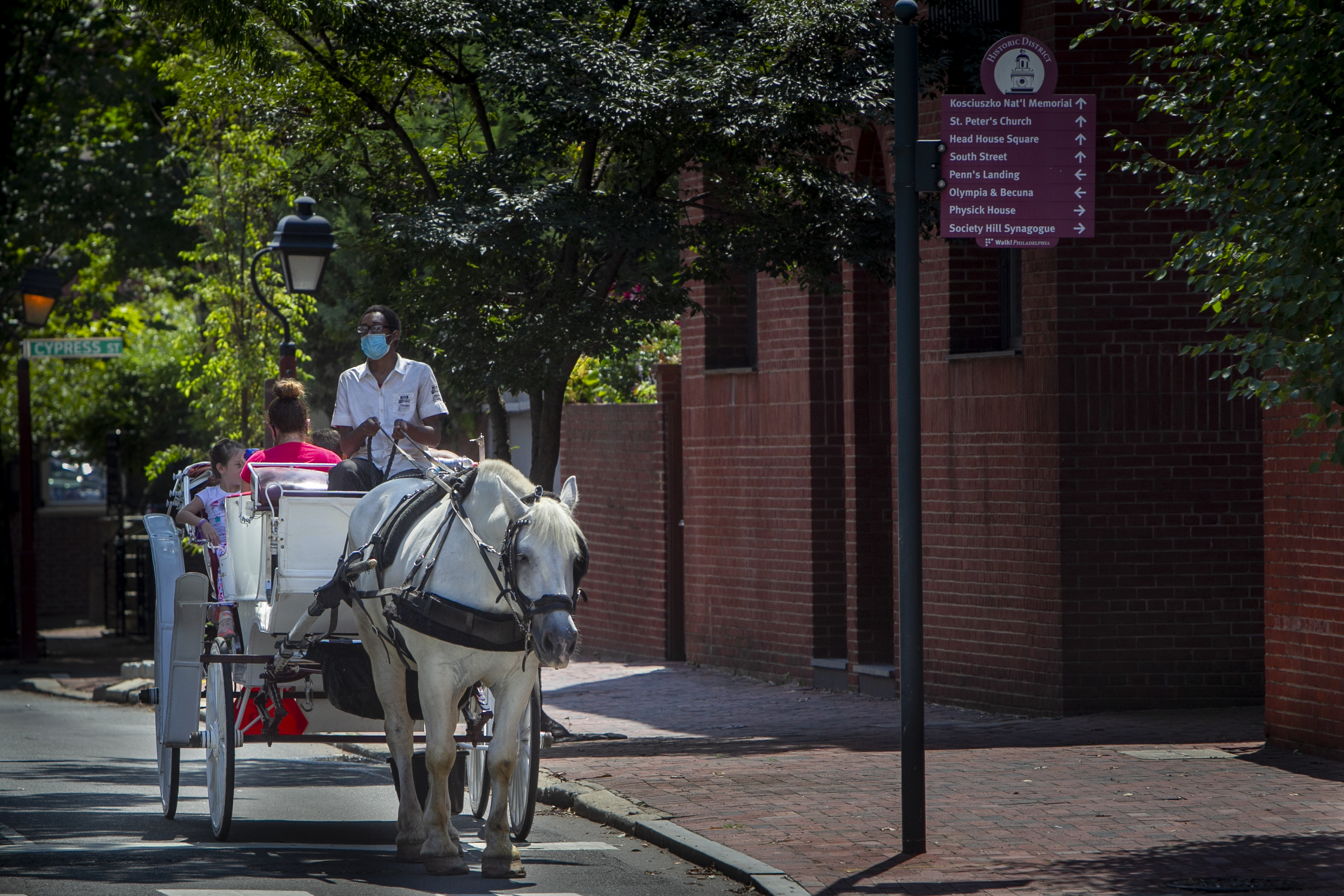 City Council votes to ban horse-drawn carriages in Philadelphia
