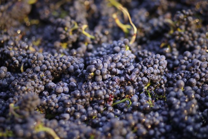 Is New Zealand becoming the next pinot noir capital?