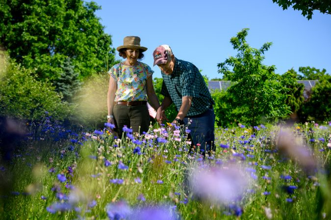 How a Schwenksville couple built a wildlife habitat in their yard