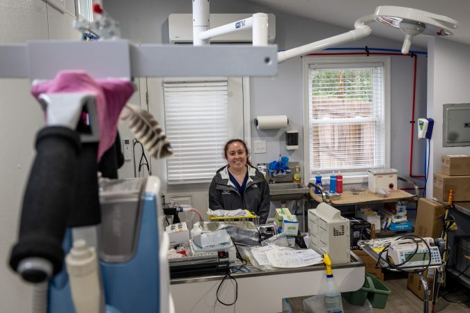 A South Jersey wildlife refuge cares for thousands of animals each year. For the first time, it now has a full-time vet.