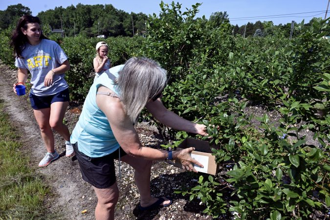 How farmers are surviving lost crops | Inquirer South Jersey