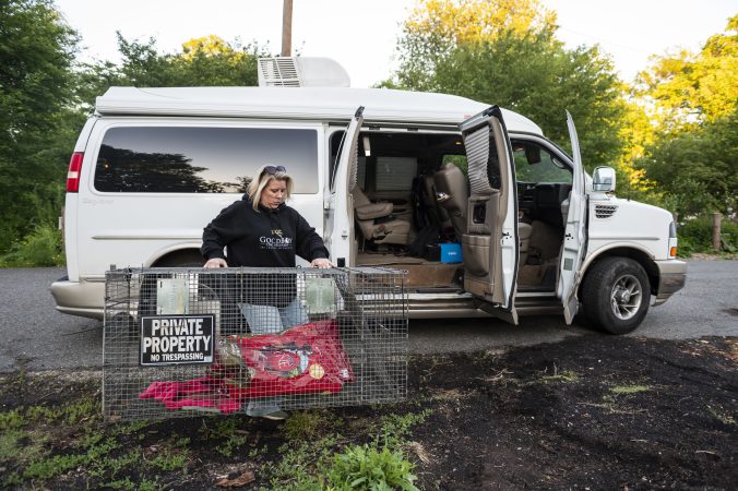 Photo by Allie Ippolito / For The Inquirer