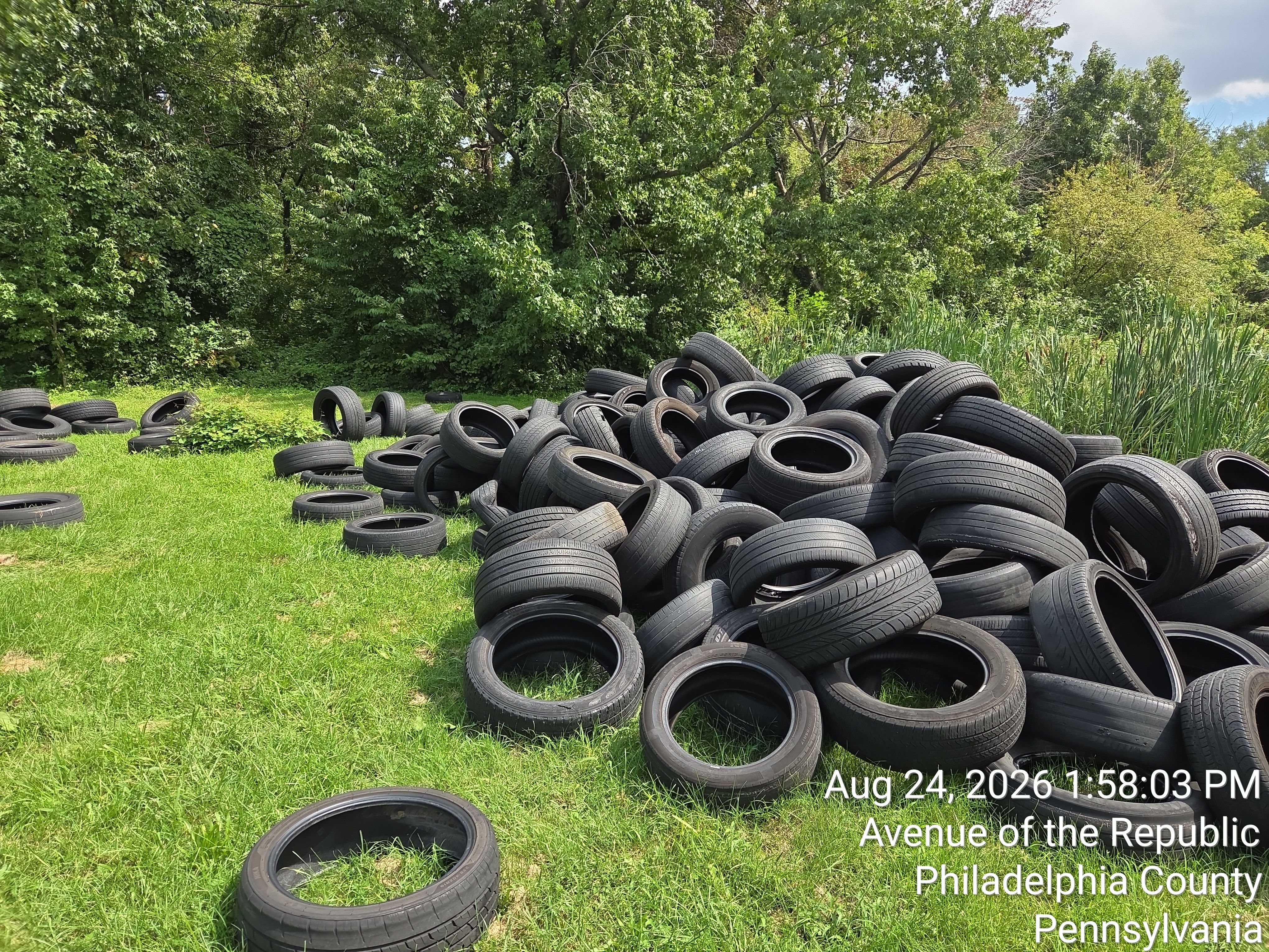 Crews from Philadelphia Parks and Recreation removed about 800 tires illegally dumped in Fairmount Park near Centennial Arboretum off Avenue of the Republic. The tires were brought in via a U-Haul truck.