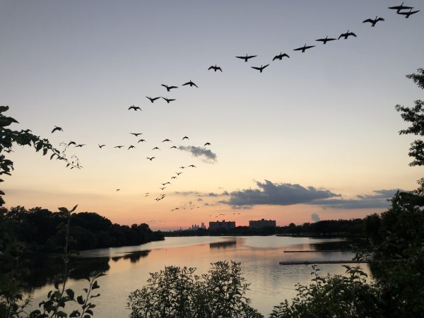 Camden County wants to spend $400M to make Cooper River swimmable and improve other waterways