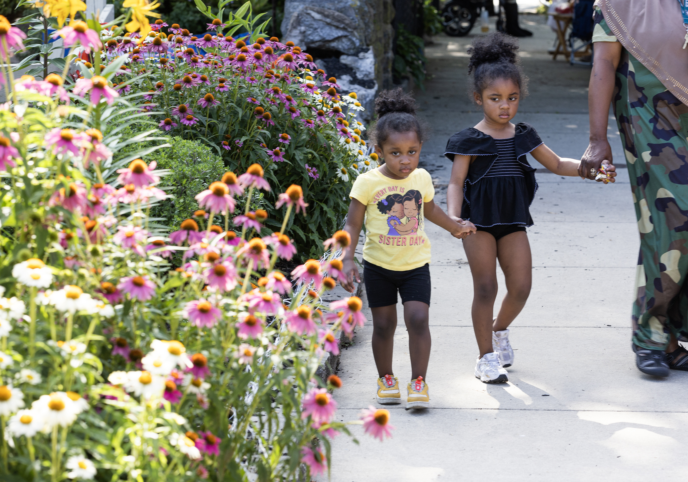 Pew gives $1.15 million for a greening program in Nicetown and Tioga