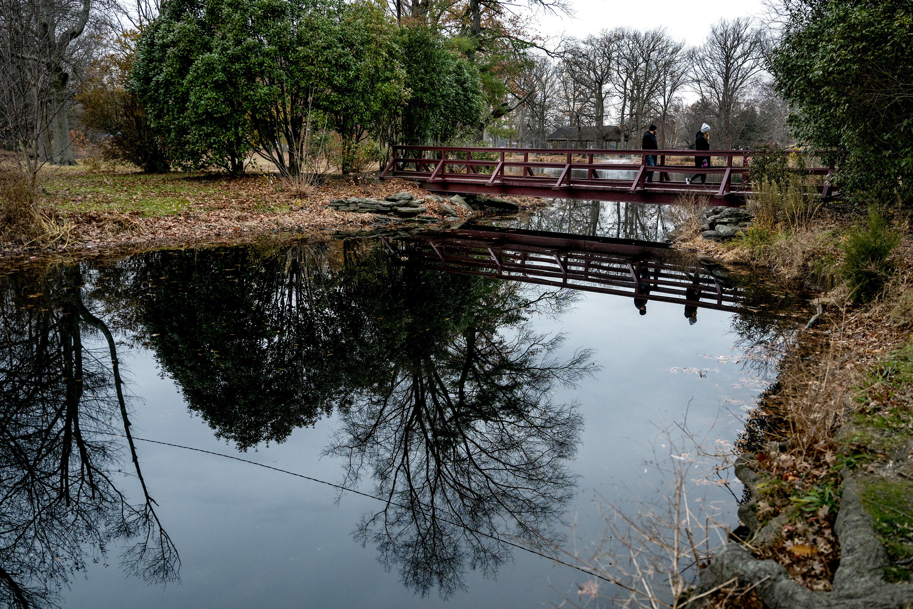 Could Collingswood lose Knight Park if its liquor ban is lifted? We dig into the ‘persistent rumor’