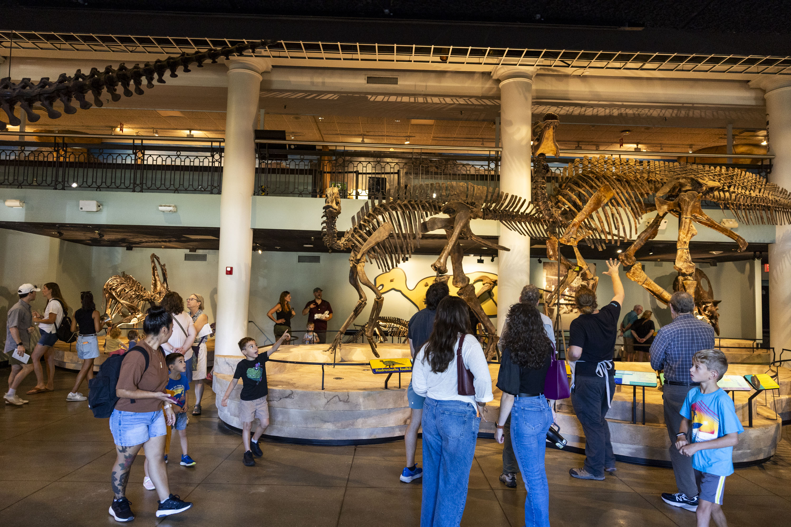 Sunday is your last sure chance to visit the Academy of Natural Sciences museum