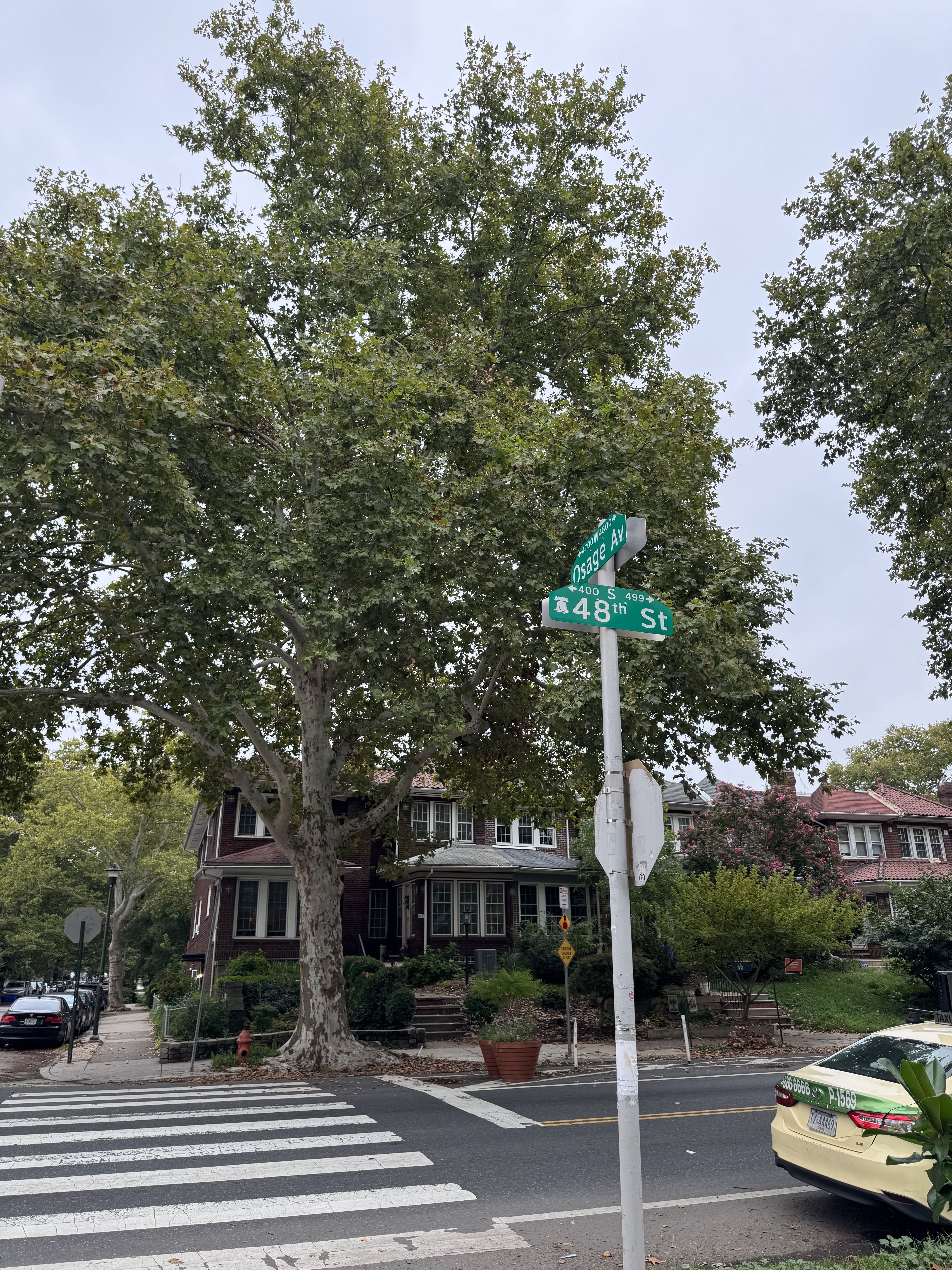 Peco upgrades in West Philly are paused after residents say trees will face ‘butchery’