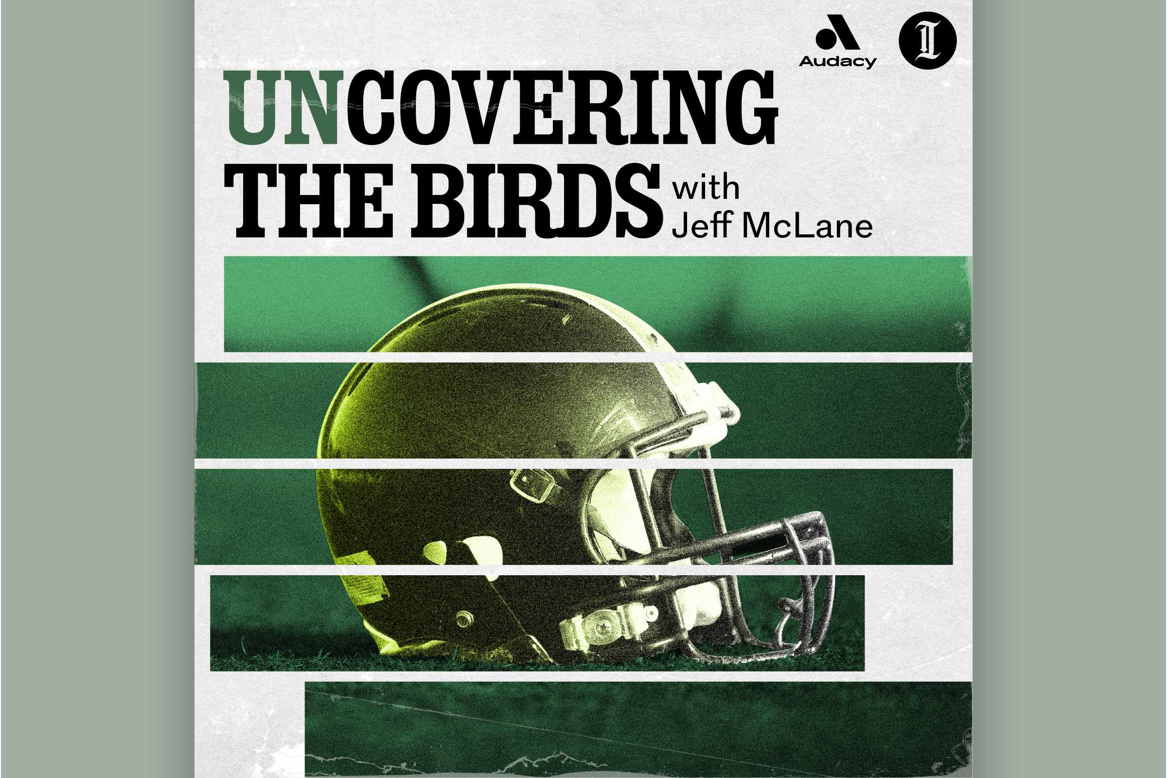 unCovering the Birds: Communication Breakdown