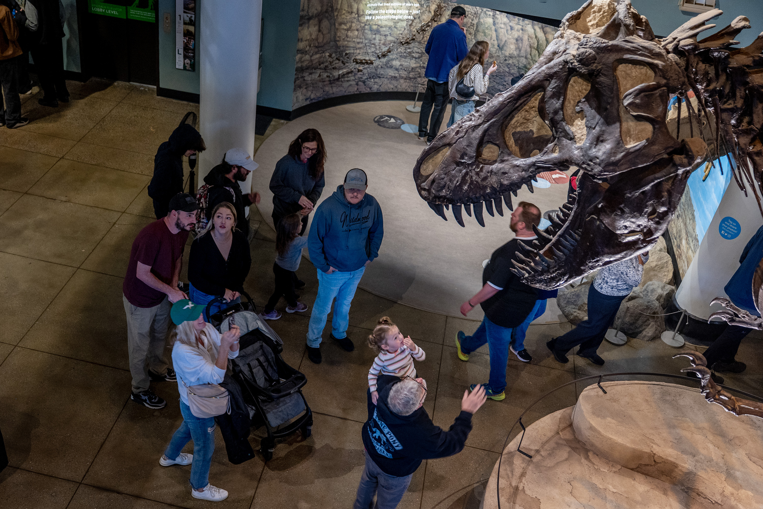 Philadelphia shouldn’t give up on the Academy of Natural Sciences’ historic museum | Editorial