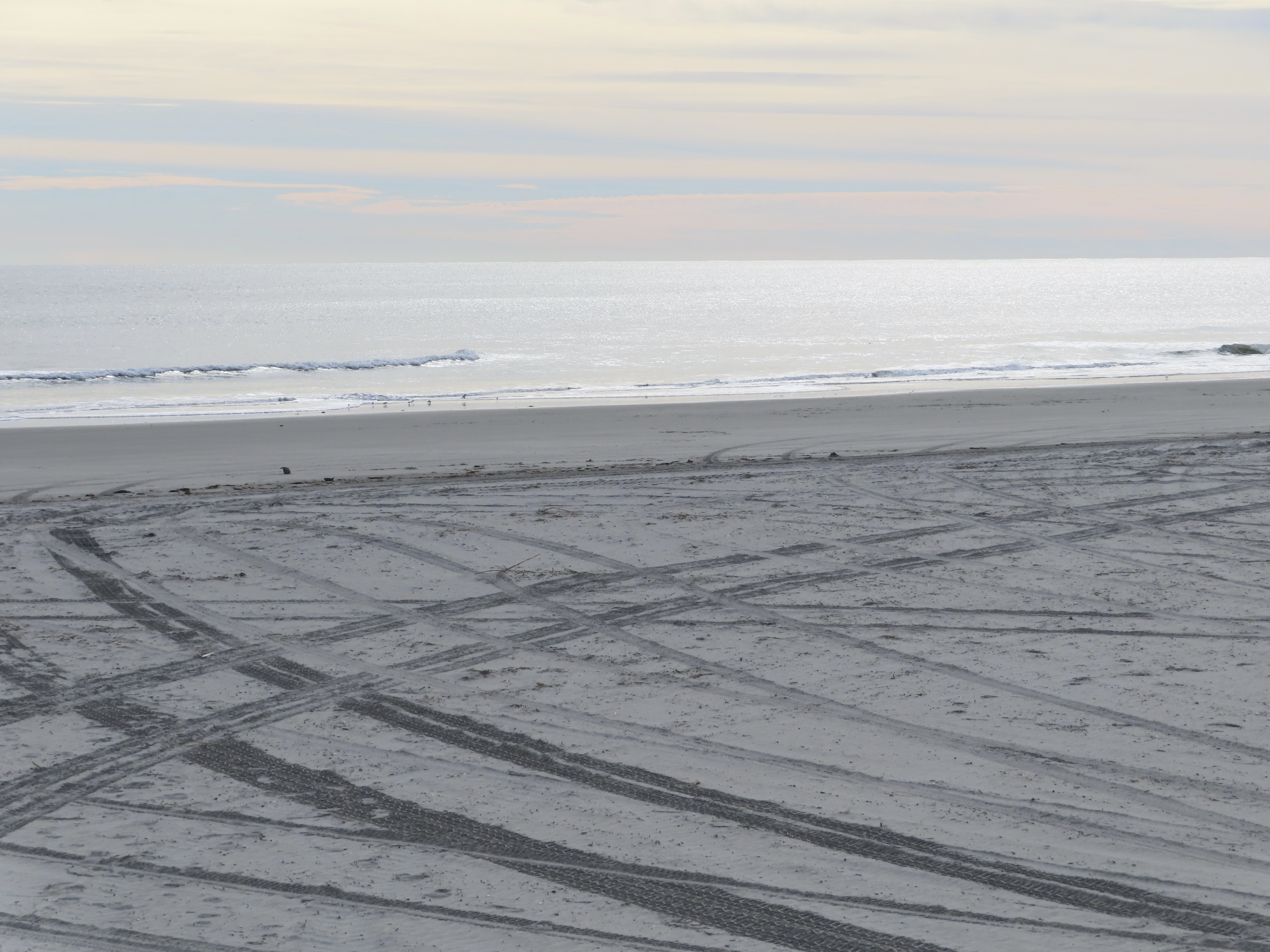 Young Turkish man drowns in North Wildwood, authorities say