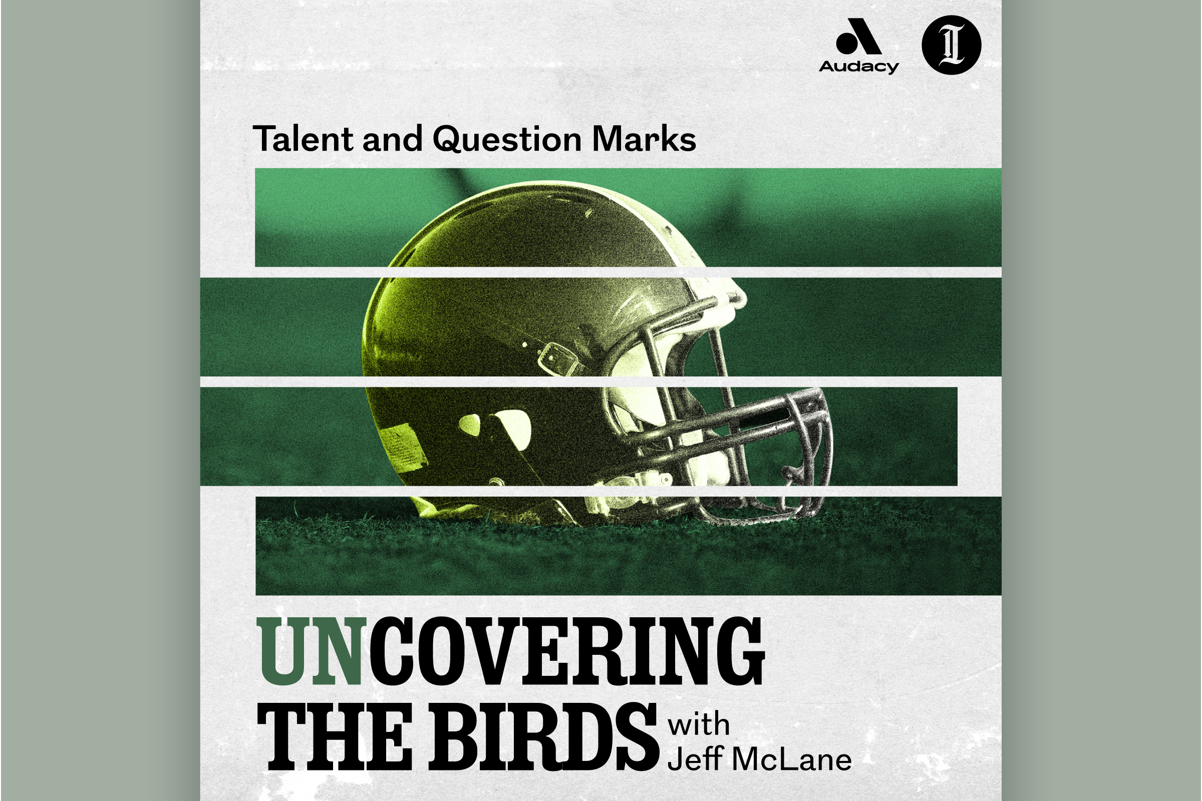 unCovering the Birds: Talent and Question Marks