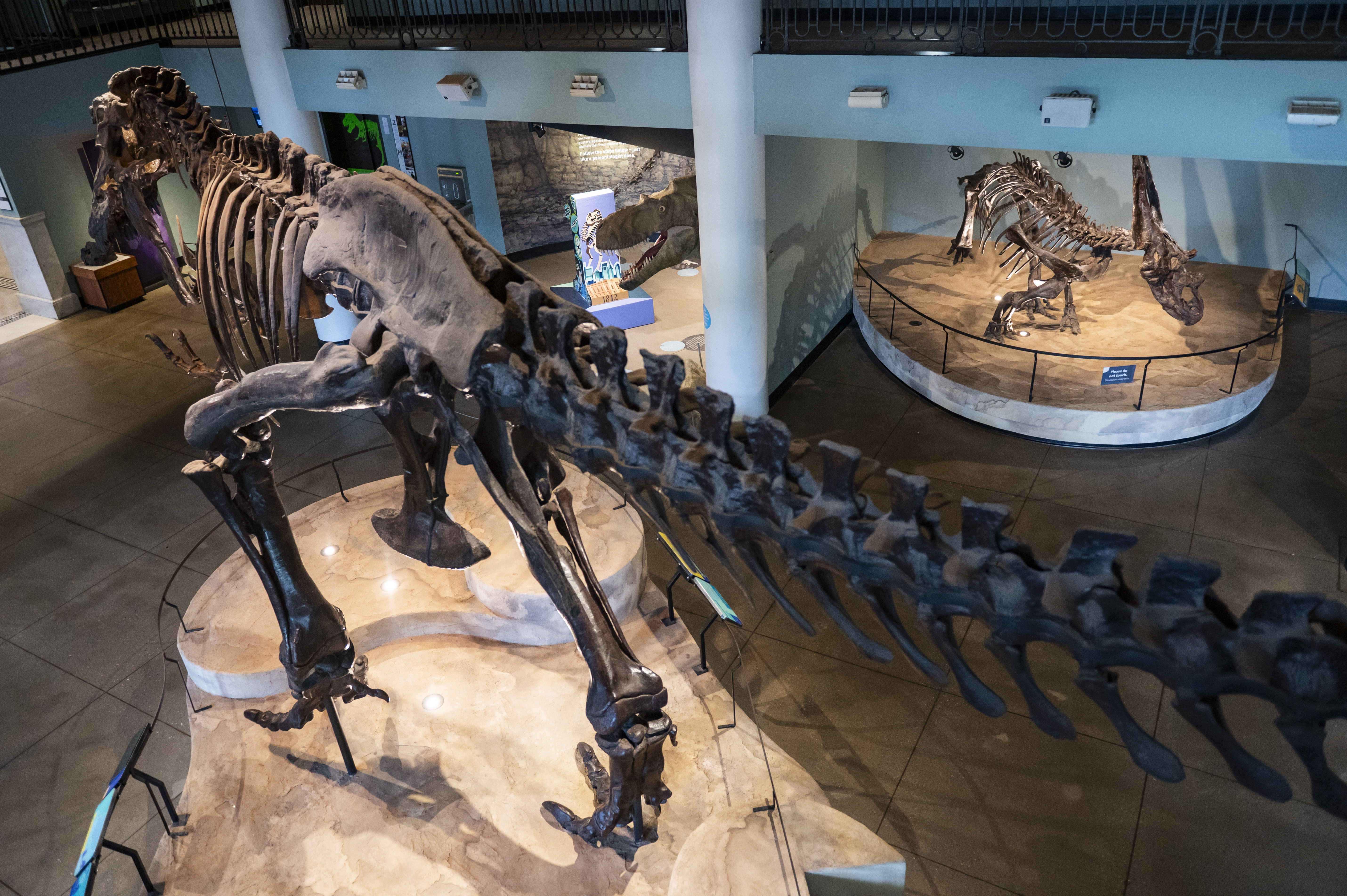 Dinosaur Hall at the Academy of Natural Sciences on Wednesday, Aug. 5, 2026.