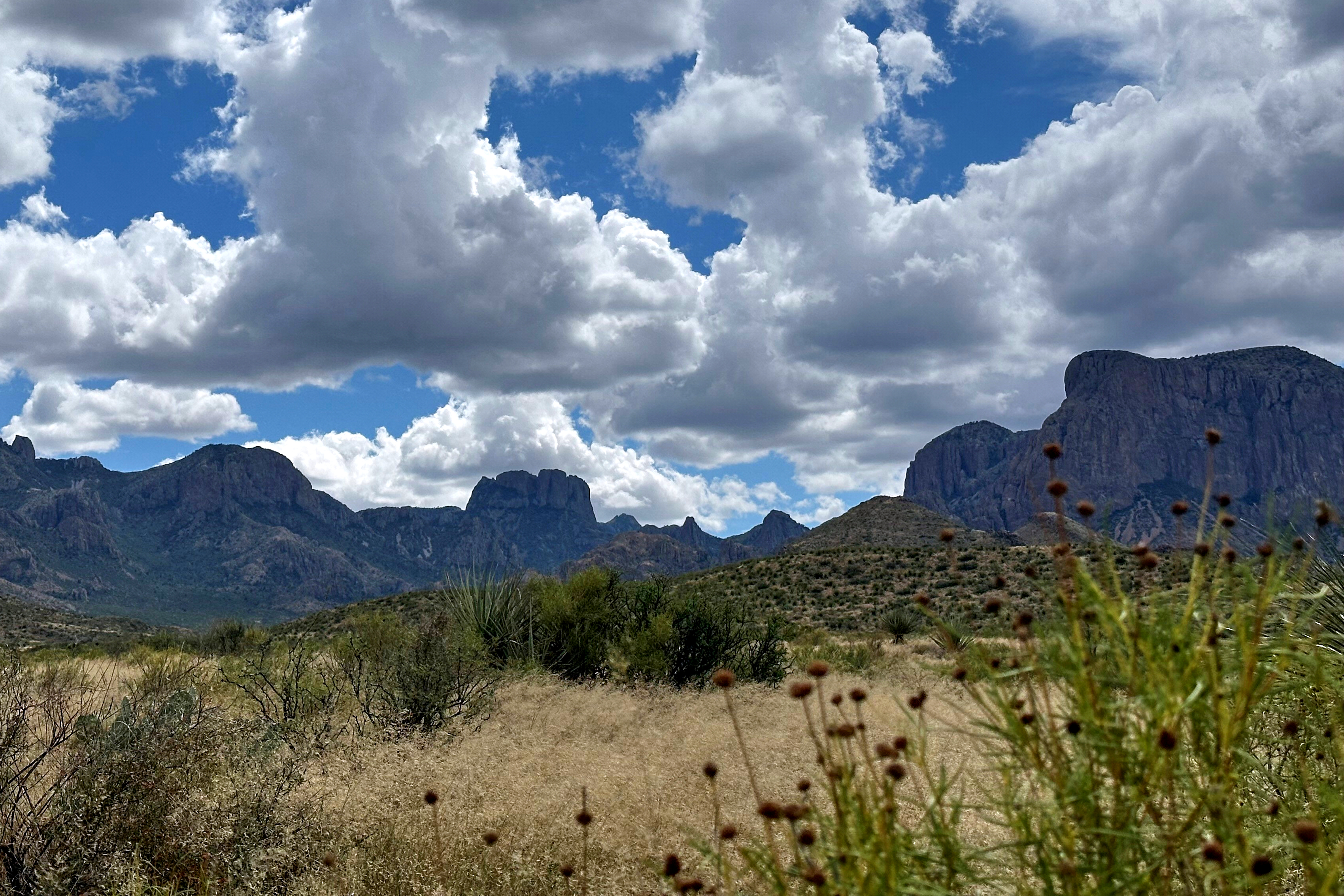 Trump administration considers scaling back border project in Texas’ Big Bend National Park