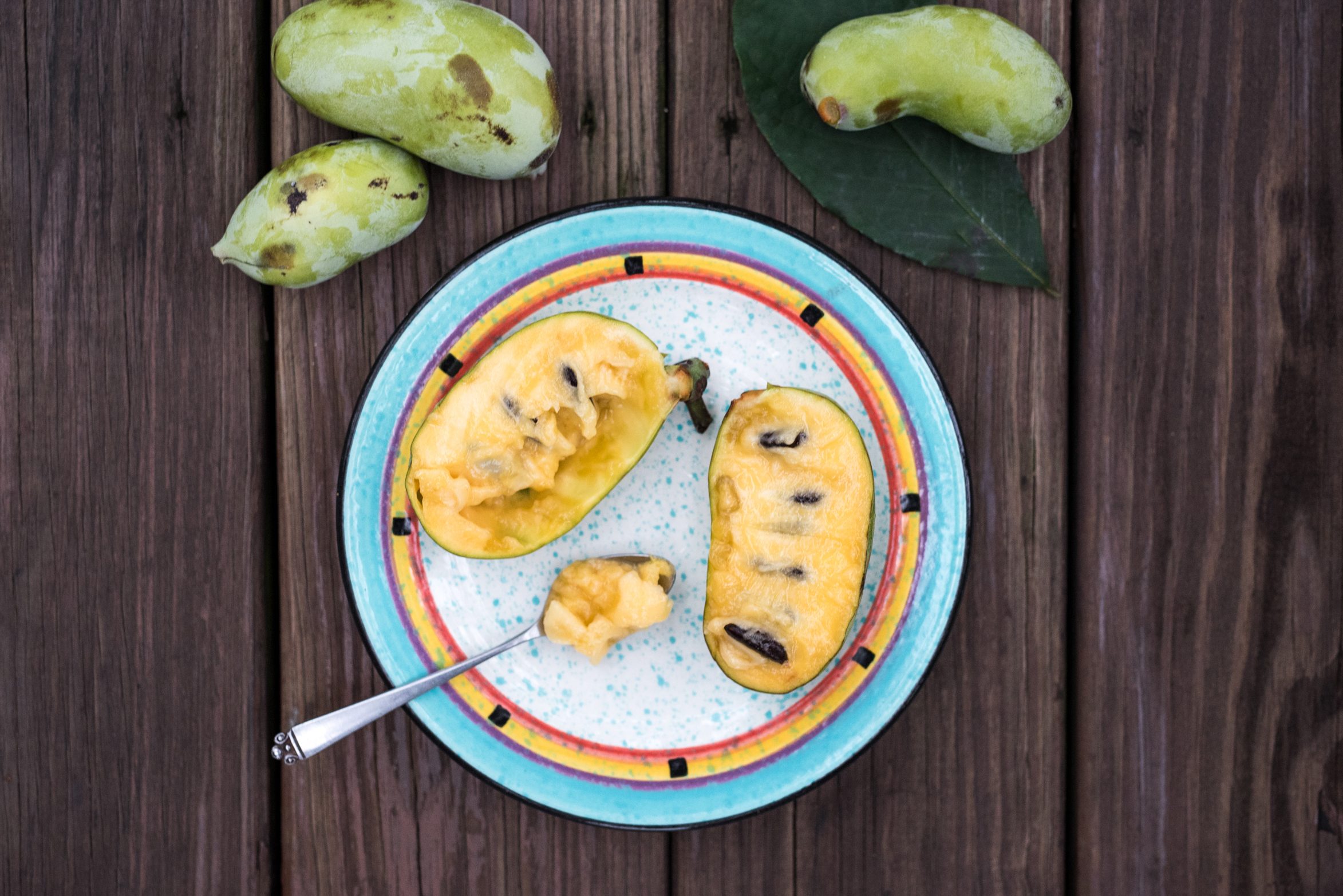 Looking for pawpaws | Outdoorsy Newsletter