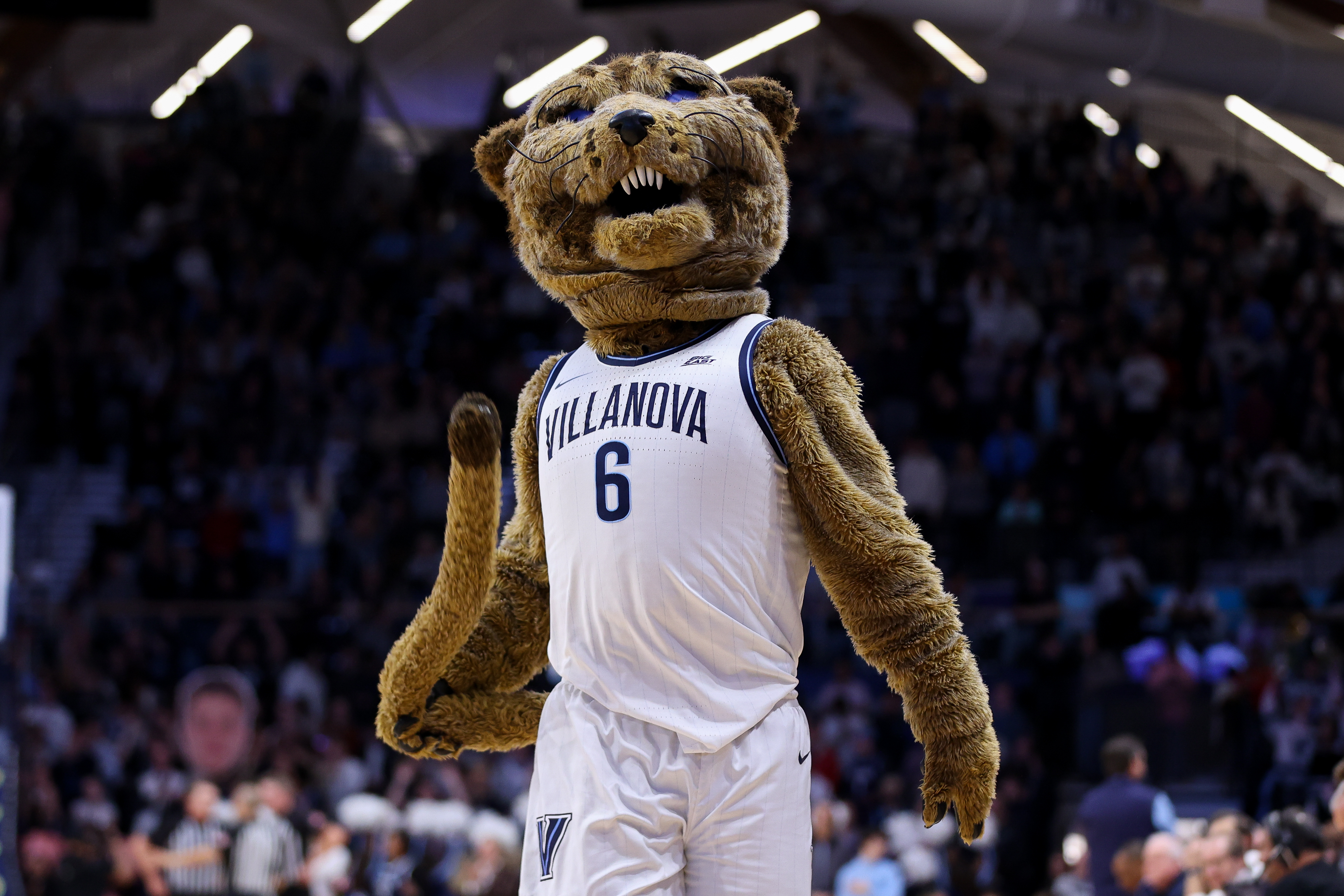 Villanova mascot Will D. Cat inks NIL deal with Friskies. No, seriously.