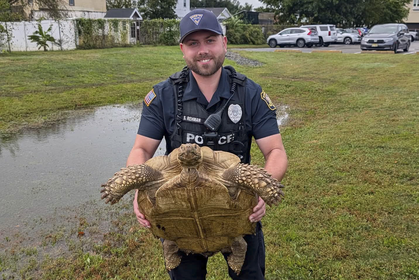 Large tortoise found by police wandering alone in Gloucester County reunited with owner