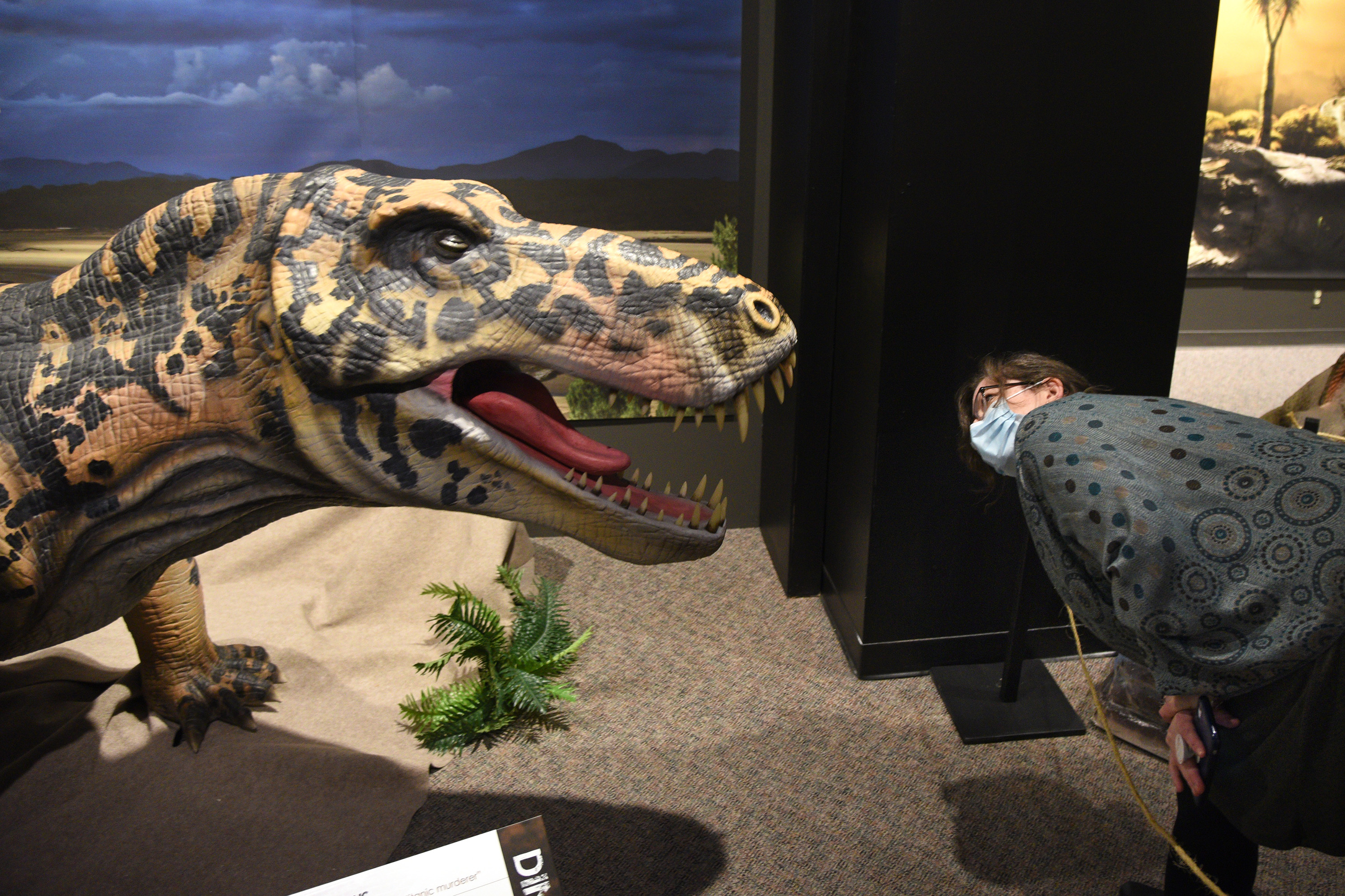 The Academy of Natural Sciences museum is closing. What happens to memberships and planned events?
