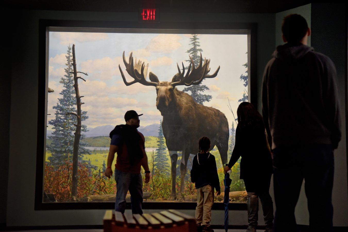 The Academy of Natural Sciences is closing its museum after nearly two centuries