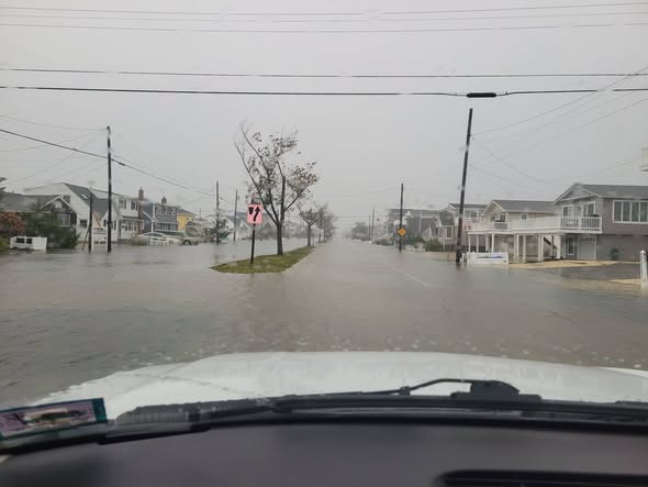 Small shark seen swimming in flooded streets of Surf City during nor’easter